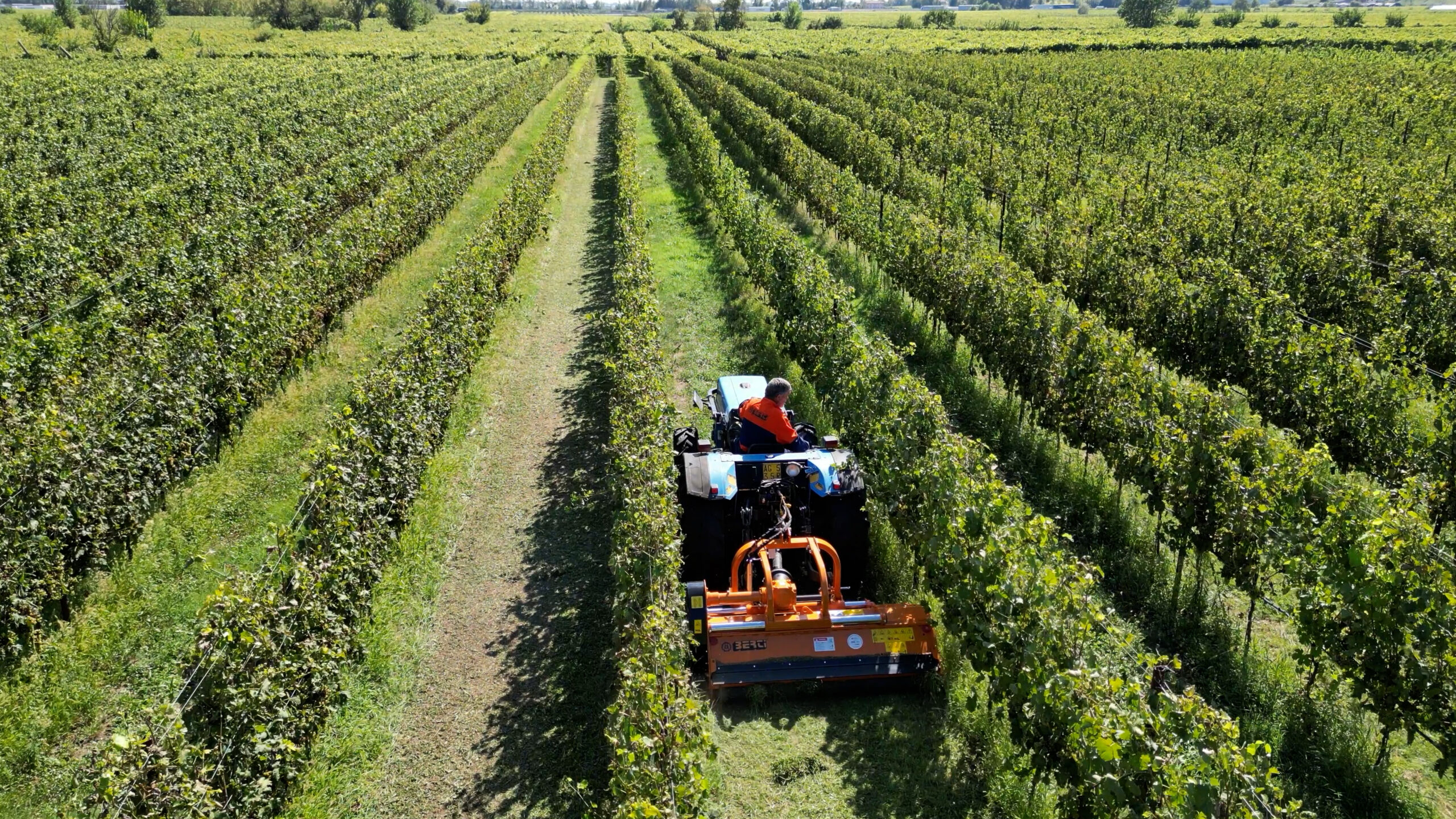 JUNTO A AGRICULTORES