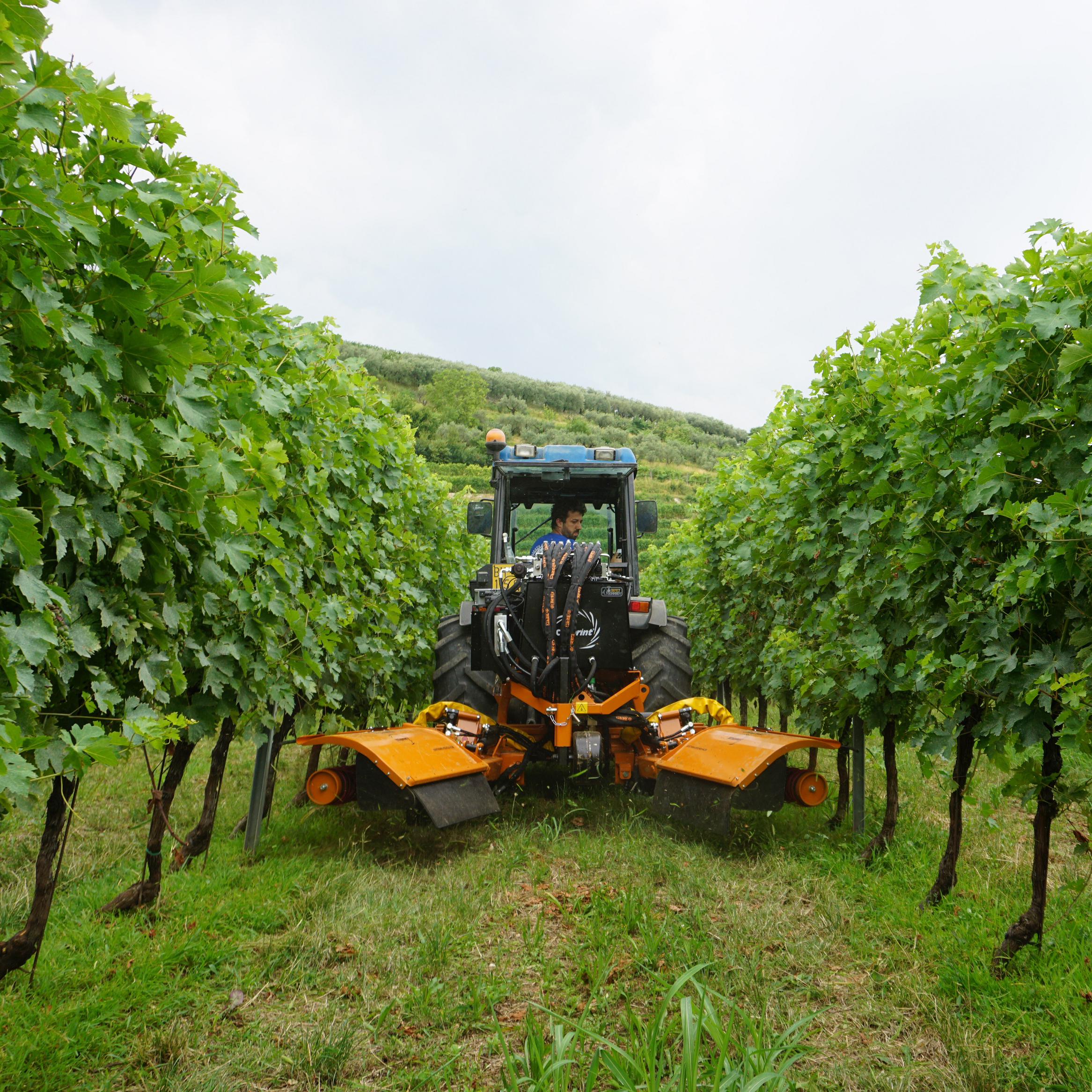 approccio sostenibile